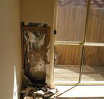 Complete Pest Control - Australian Directory