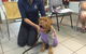 North West Veterinary Clinic - thumb 2