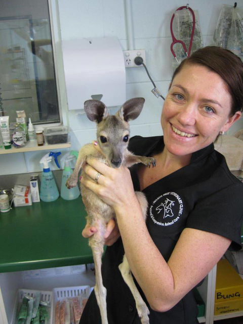 North West Veterinary Clinic - Australian Directory 3