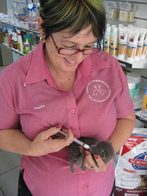 North West Veterinary Clinic - Australian Directory 4