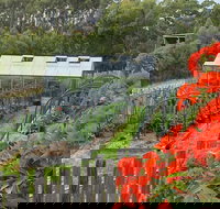 Hot Chilli Mama - Australian Directory