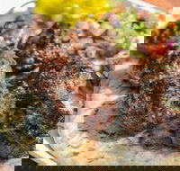 Kofte Co. - Australian Directory