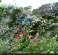 The Cidery - Australian Directory