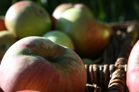 Denmark Heritage Cider Company - Australian Directory 0