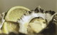 Pearly Oyster Bar And Farm - thumb 0