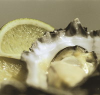 Pearly Oyster Bar and Farm - Australian Directory