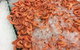 Pearly Oyster Bar And Farm - thumb 1