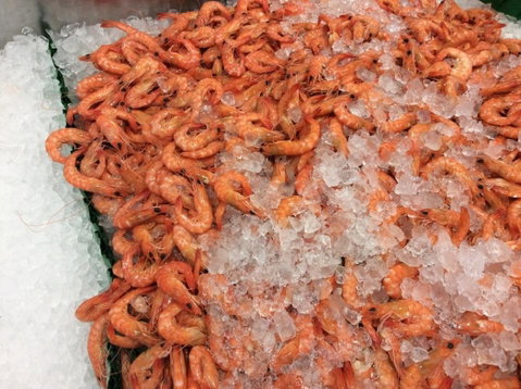 Pearly Oyster Bar And Farm - Australian Directory 1