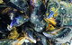 Pearly Oyster Bar And Farm - thumb 2