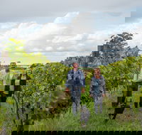 Ross Hill Wines - Australian Directory