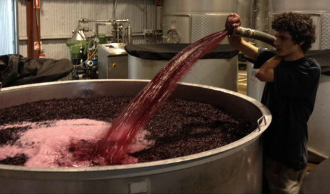 Ross Hill Wines - Australian Directory 2