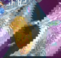 Sharks Tail Fish  Chippery - Australian Directory