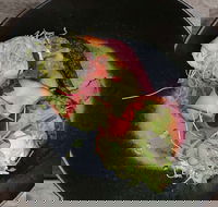 Crowded House - Australian Directory