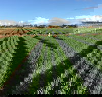 Hawkes Farm - Australian Directory
