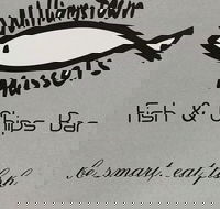 Williamstown Mussels - Australian Directory