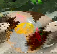 Nic and Kolo - Australian Directory