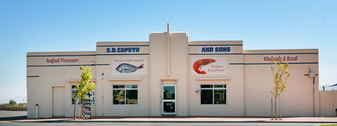 S.D. Caputo And Sons - Australian Directory 1