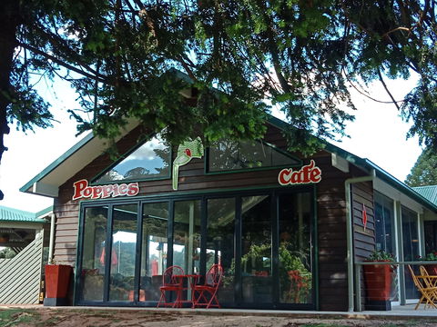 Poppies  Cafe - Australian Directory 0