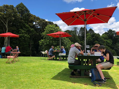 Poppies  Cafe - Australian Directory 1