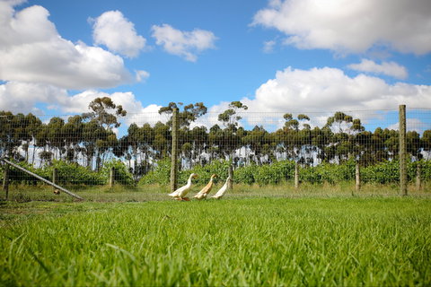 Pierrepoint Wines Cellar Door - Australian Directory 1