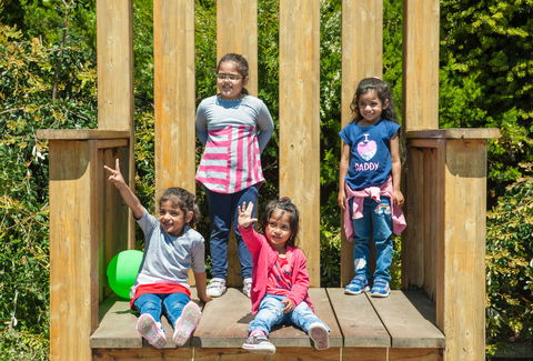 SkyHigh Mount Dandenong And Scenic Lookout - Australian Directory 2