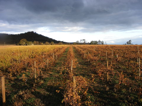 Booths Taminick Cellars - Australian Directory 2