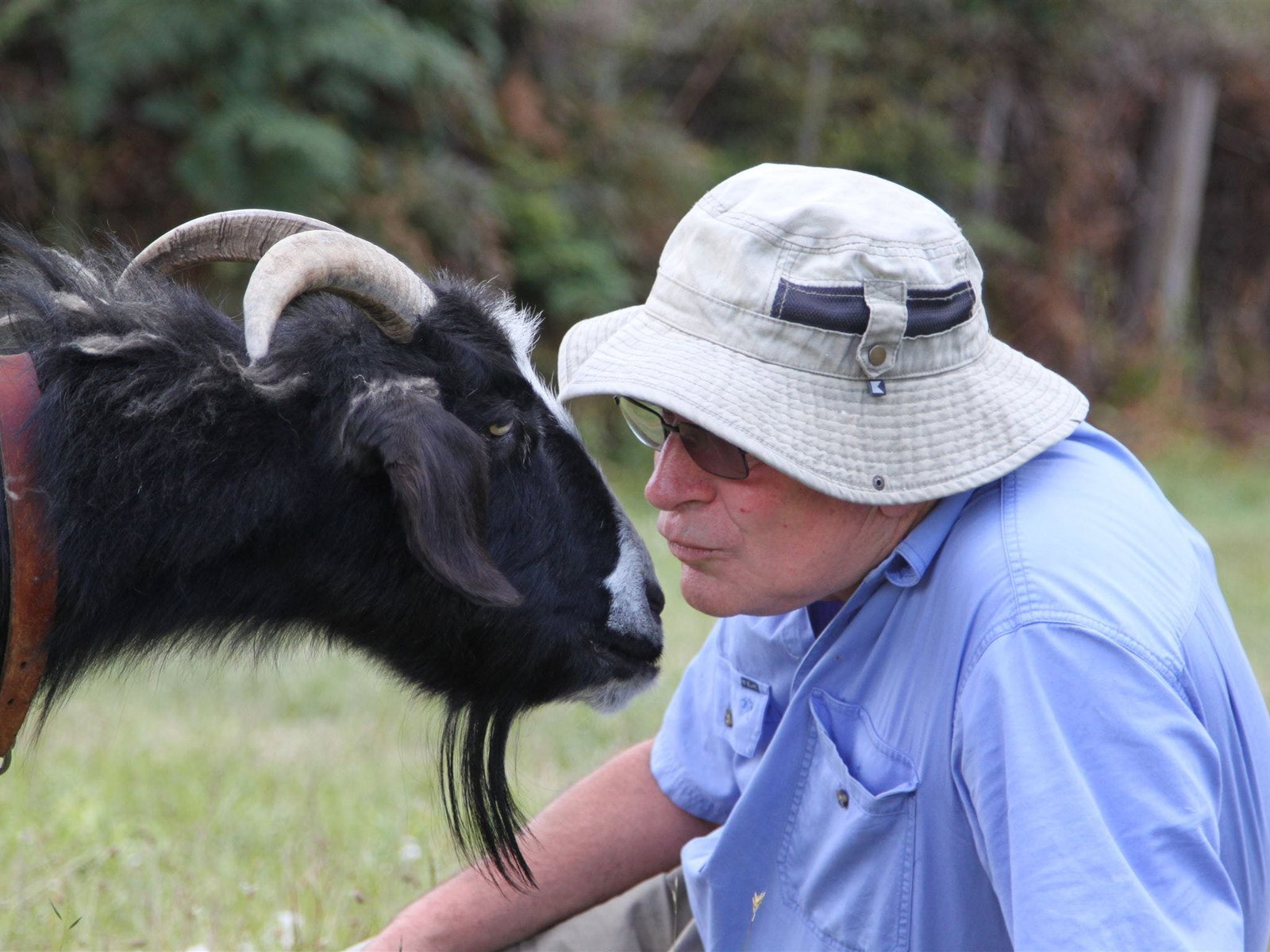 Lalla TAS Australian Directory