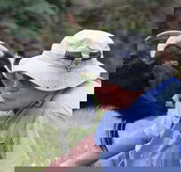 Providence Vineyards - Australian Directory