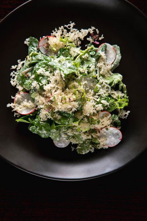 Arthur Waterhouse Lounge - Australian Directory 0