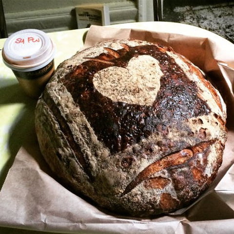 Iggy's Down Under - Bronte - Australian Directory 0