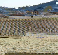Patina Wines - Australian Directory
