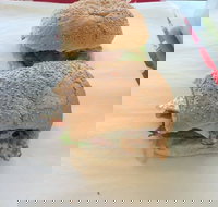 Taylor's Seafood - Australian Directory