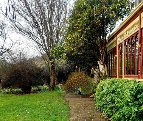 Glen Derwent Tea Rooms - Australian Directory 0