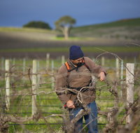 Kurtz Family Vineyards - Australian Directory