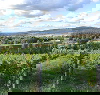 Sassy Wines - Australian Directory