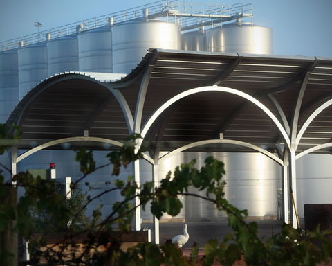 Andrew Peace Wines - Australian Directory 2
