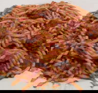 Cafe Clicquot - Australian Directory