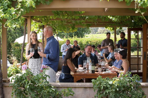 Murray Street Vineyards - Australian Directory 1