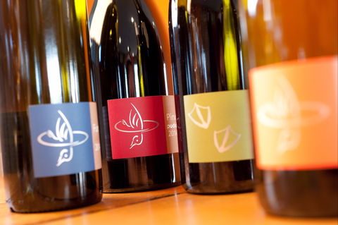 Puddleduck Vineyard - Australian Directory 2