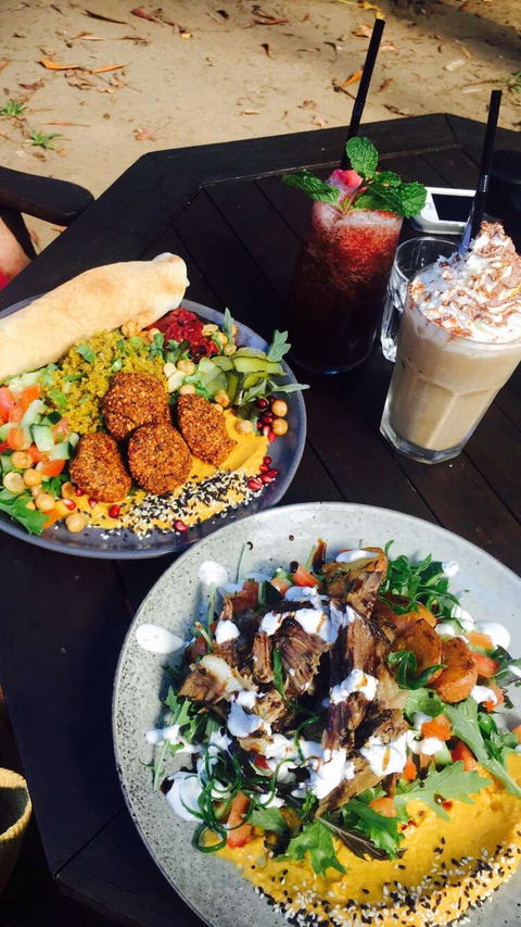 Rainforest Cafe Restaurant - Australian Directory 0