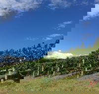 Freycinet Vineyard - Australian Directory