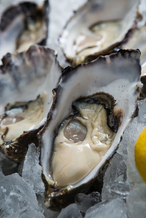 Lobster Shack Tasmania - Australian Directory 1