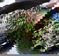 Mockingbird Cafe - Australian Directory