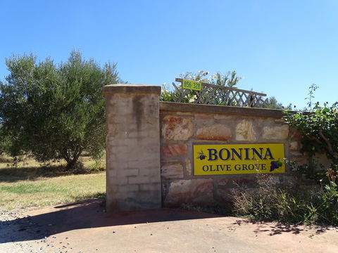 Bonina Olive Grove - Australian Directory 1