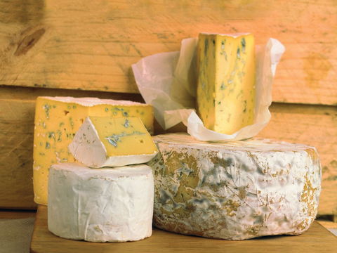Cheese Shop At Makers' Workshop Burnie - The - Australian Directory 1