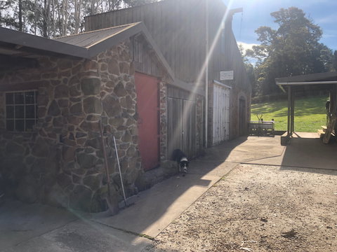 Wilmot Hills Orchard & Distillery - Australian Directory 1