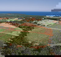 Wise Wine - Australian Directory