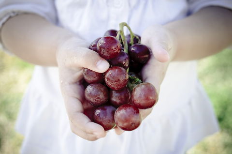 Granitevale Winery - Australian Directory 0
