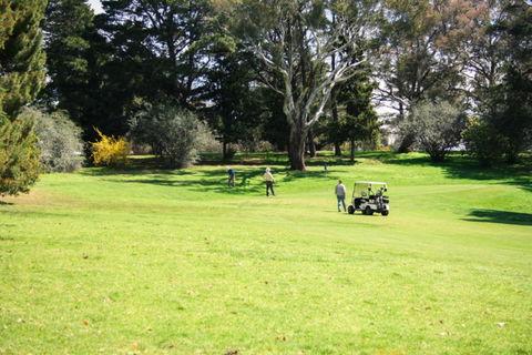 Restaurant At The Golfie - Australian Directory 0