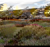 Barossa Valley Estate Cellar Door  Gardens - Australian Directory